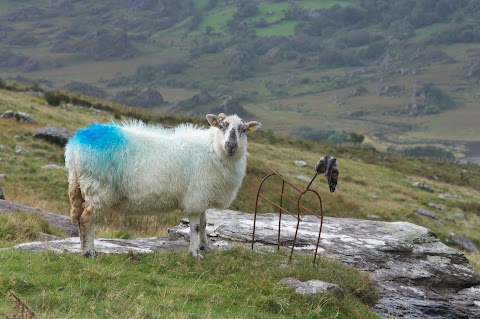 Photography Holidays Ireland