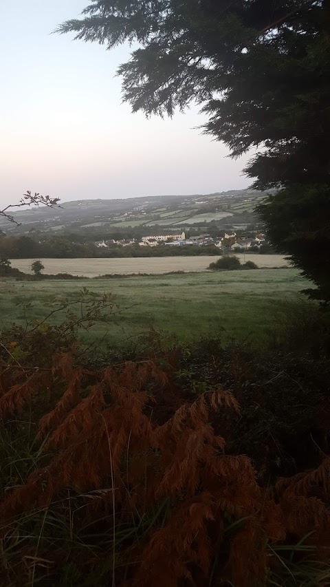 Fitzgerald's Farmhouse Accommodation and Equestrian Centre