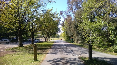 Fota Wildlife Car Park