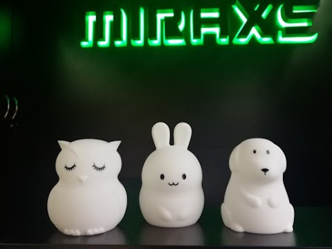 MIRAXS