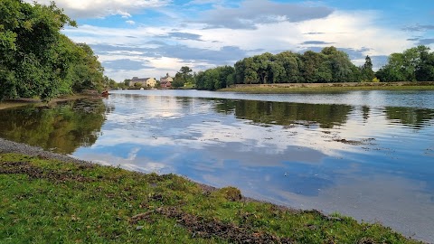 Ballyannan Woods - Midleton Forest