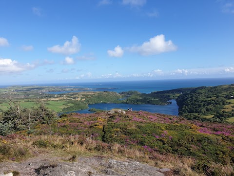 Lough Hyne Forest