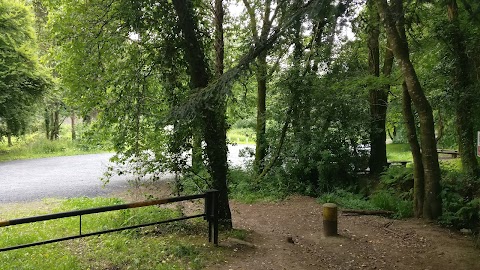 Bansha Forest Recreational Area