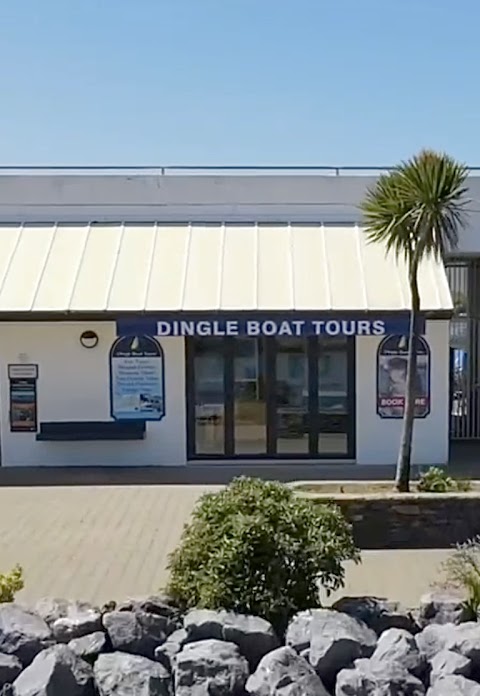Dingle Boat Tours
