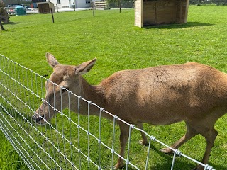 Marlhill Open Farm