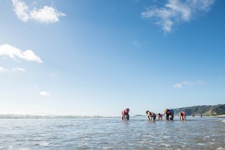 New Zealand Shores Immigration Advisers