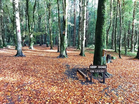 Belleek Wood/Park