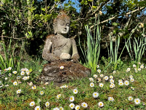 The Celtic School of Yoga