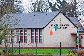 Ballyturn National School