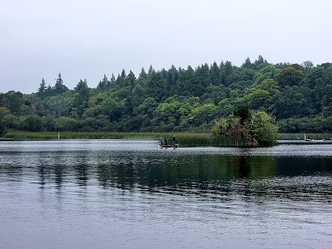 Lough Key Forest & Activity Park