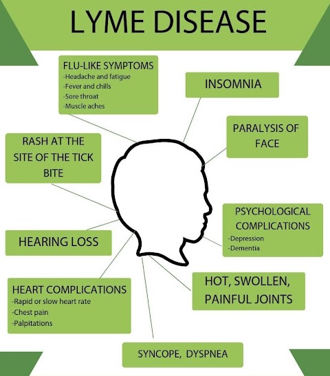 Biomagnetisim/ Biomagnetic Pair Therapy Cork. Philippa Swalbe - Lyme Disease