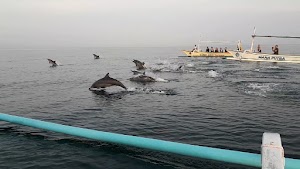 Tiket Dolphin & Snorkling Lovina ( Rian Captain Boat )
