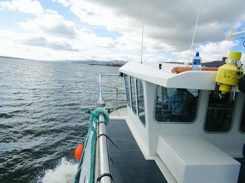 Kenmare Bay Boat Tours