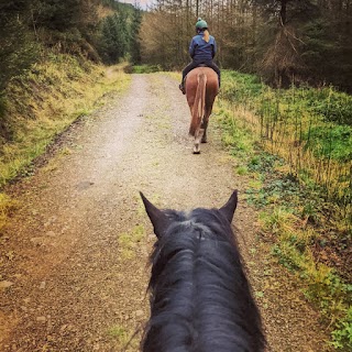 Devil's Bit Pony Trekking