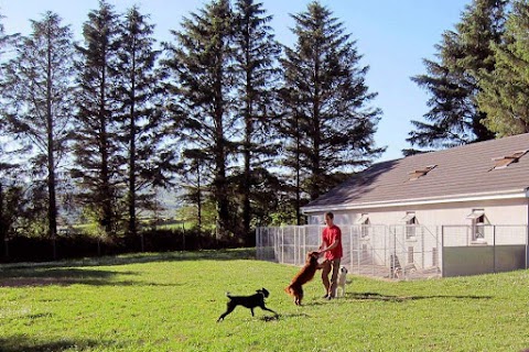 Laurel Walk Boarding Kennels