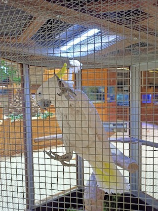 Park Edukacyjny Zoo-Egzotyczne Kaszuby