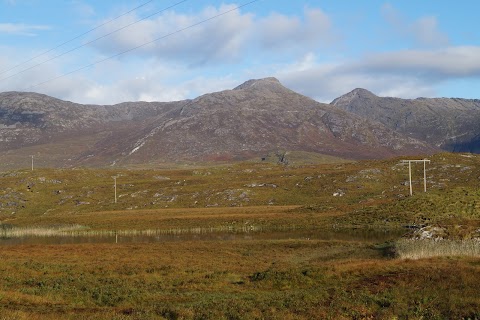 Pines Island Viewpoint