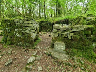 Knockma Wood