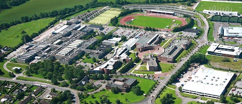 South of Ireland Language Centre