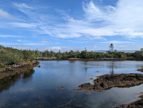 Parknasilla Woodland Villas