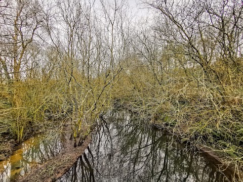 Tramore Valley Park