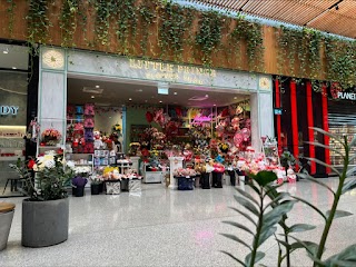 Little Prince Flower Shop