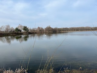 Obszar Natura2000: Stawy w Borowej