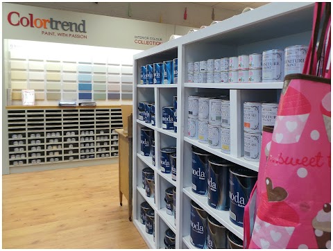 The Paint Store