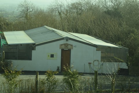 Johnduffswood Dog Boarding Kennels