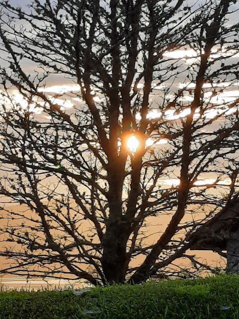 Sligo Regional Park