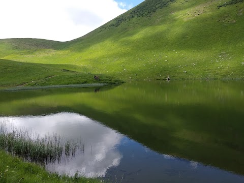 АС Ясіня, ПрАТ Закарпатавтотранс