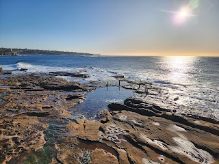 Ivo Rowe Rock Pool