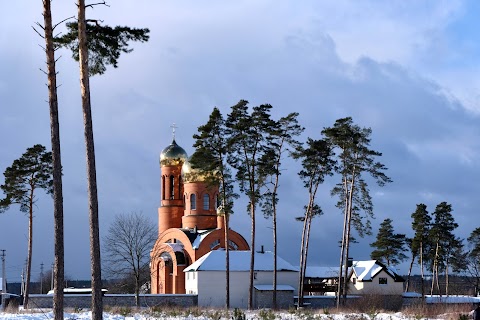 Ozerne Forest