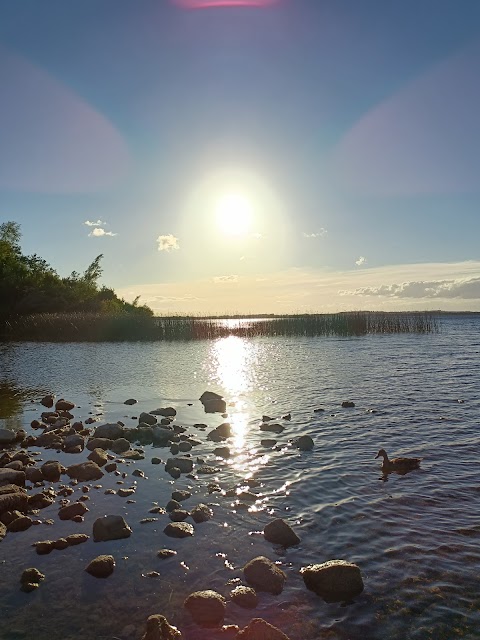 Lough Ree Park Walking Trail