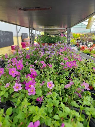 Ballyvourney Nursery & Garden Centre(Naíolann & Ionad Gairdín Bhaile an Turais)