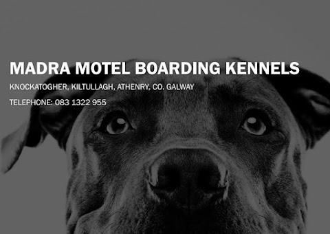 Madra Motel Boarding Kennels