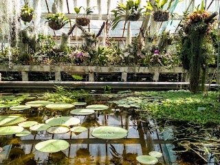 Ogród Botaniczny Uniwersytetu Jagiellońskiego