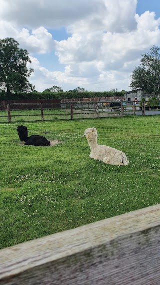 Kildare Farm Foods, Open Farm & Shop