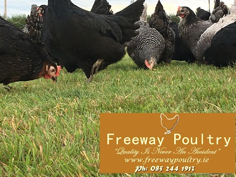 Freeway Poultry