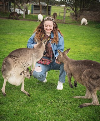 Welcome to Travel | Melbourne