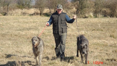 Kingdom Boarding Kennels Cattery & Dog Grooming