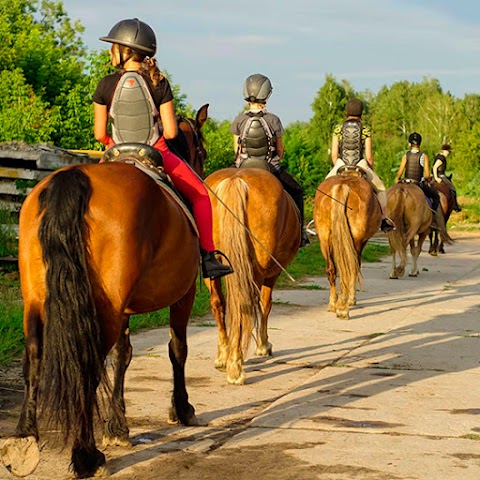 Конный театрализованный детский лагерь Like Horses