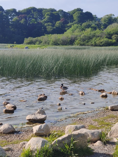 Ballyalla Lake