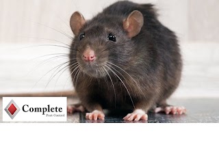 Complete Pest Control - Kildare