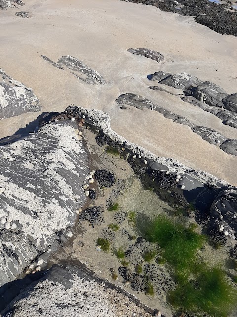 Ballycroneen Beach