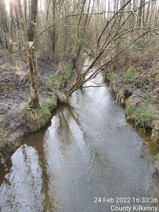 Coill an Fhailtaigh Millennium Forest