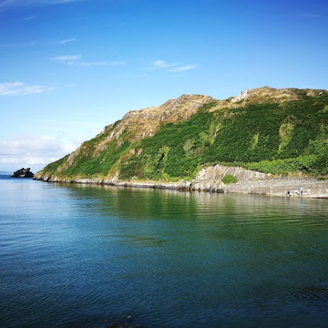 Cape Clear Ferries & Fastnet Rock Lighthouse Tours