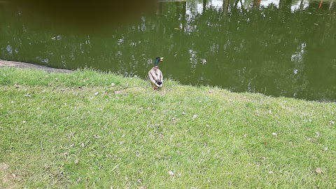 Tuam Golf Club