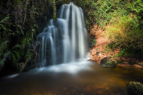 Ballard Waterfall Forest Recreational Area