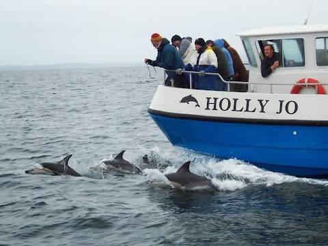 Cork Whale Watch